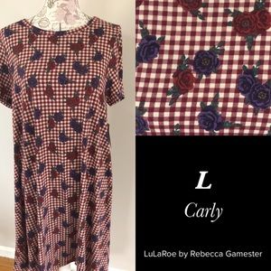 Carly swing dress size Large (14/16/18)